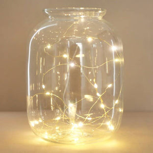 30 Battery Powered Led Silver Wire String Lights