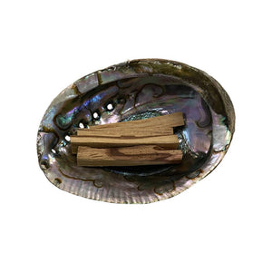 Abalone Shell - Nature's Artistry