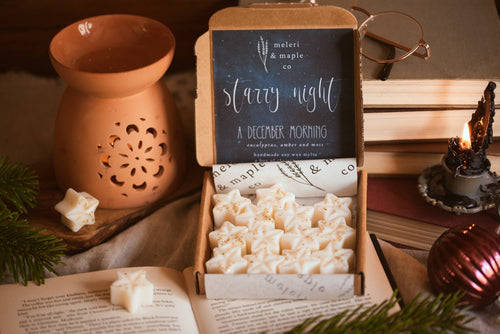 Starry Night - A Box of Christmas Star Wax Melts / Winter