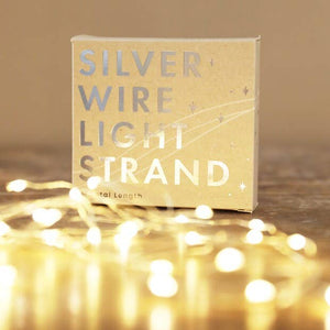 30 Battery Powered Led Silver Wire String Lights