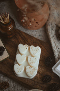 Autumn Spice Scented Heart Clamshell Soy Wax Melts