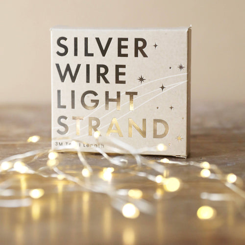 30 Battery Powered Led Silver Wire String Lights