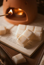 Load image into Gallery viewer, Sage + Sea Salt Scented Snap Bar Wax Melt