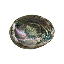 Load image into Gallery viewer, Abalone Shell - Nature&#39;s Artistry