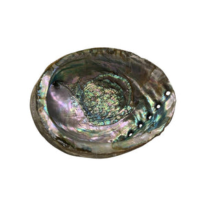 Abalone Shell - Nature's Artistry