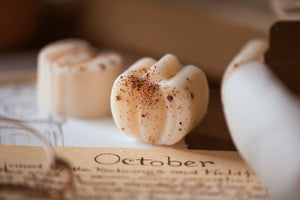 Last Autumn Pumpkin Patch / Autumn Fall Soy Wax Melts