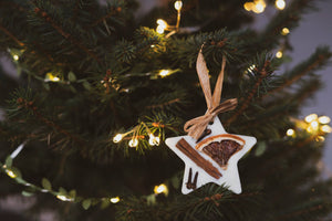 Christmas Scented Tree Decorations