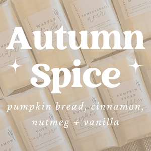 Autumn Spice Scented Snap Bar Wax Melt